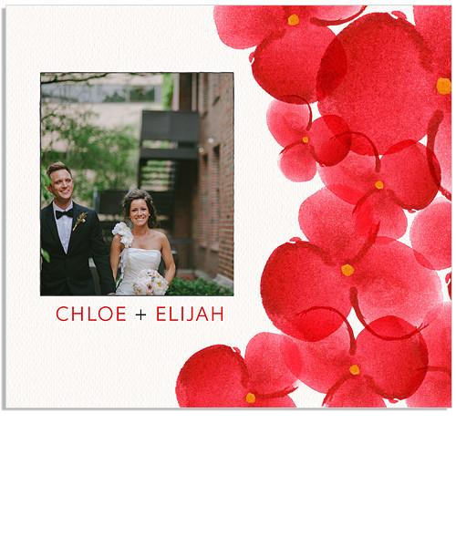 Red Watercolor Blooms Single and Dual DVD Impression Cases and DVD Label