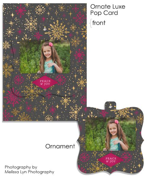 Sparkly and Bright 5x7 Ornate Luxe Pop Card