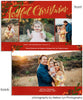 Joyful Wish 7x5 Joyful Christmas Foil Press Card, Address Label and Circle Sticker