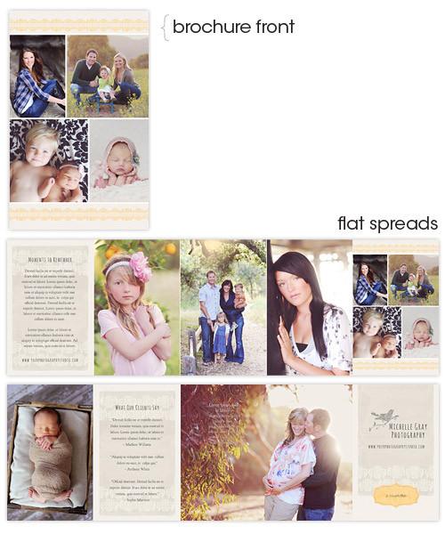 Honey Bee Marketing Accordion Card Brochure